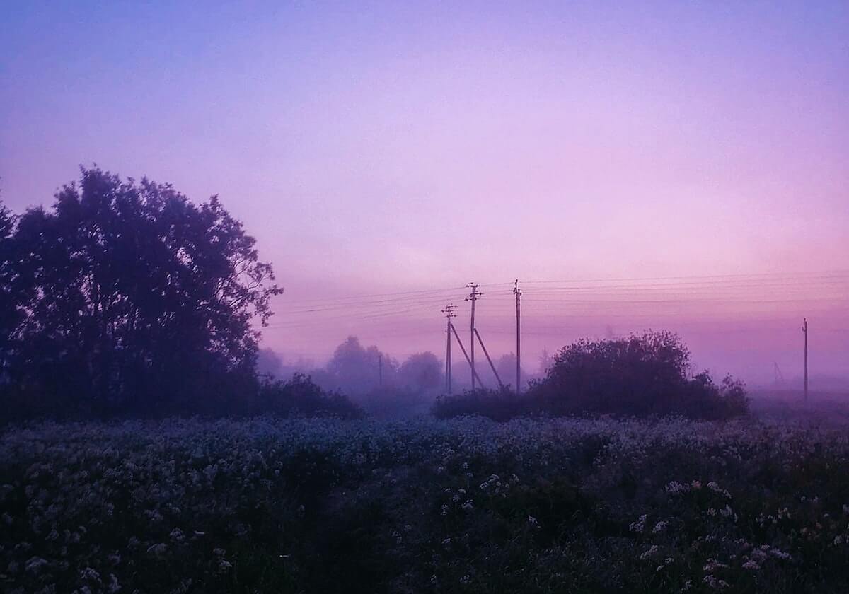意甲媒体透露：桑德兰与布伦特福德对米兰锋线球员希门尼斯充满兴趣，准备在冬窗期对其进行报价